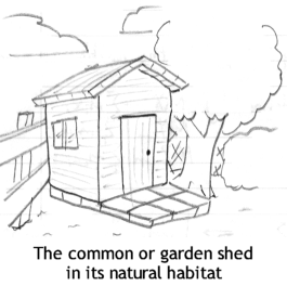 cartoon/shed.gif